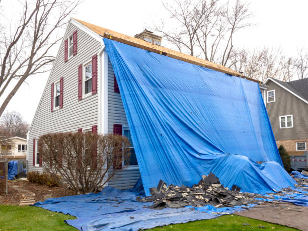 Best Yard Waste Removal  in , CT