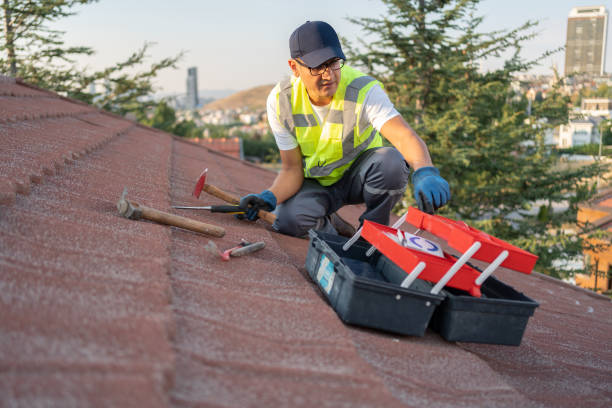 Best Hoarding Cleanup  in , CT